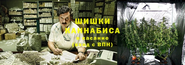 спайс Михайлов