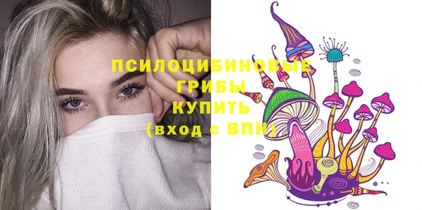 стаф Карпинск